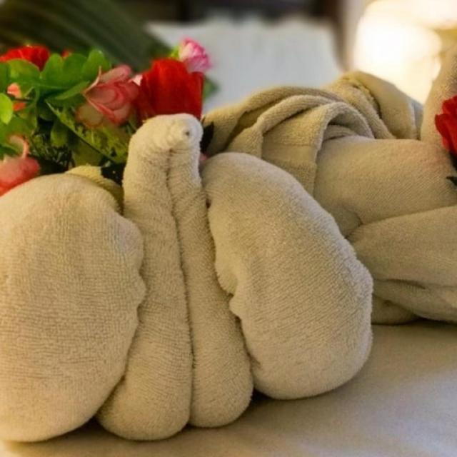 Africa House Zanzibar Bed & Breakfast エクステリア 写真